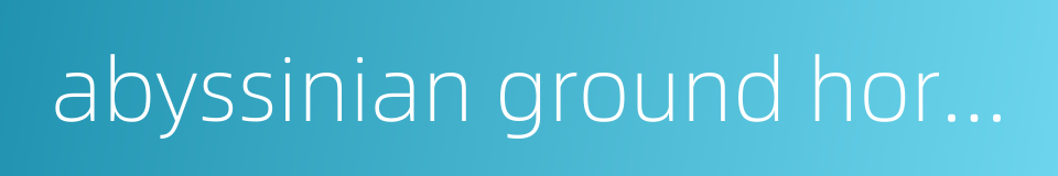 abyssinian ground hornbill的同义词