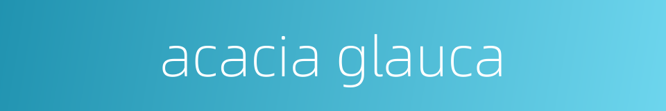 acacia glauca的同义词