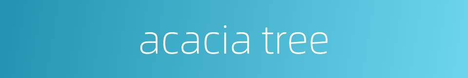acacia tree的同义词