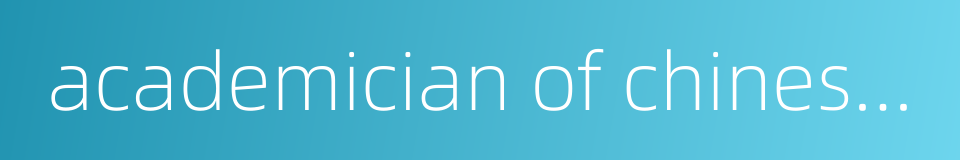 academician of chinese academy of engineering的同义词