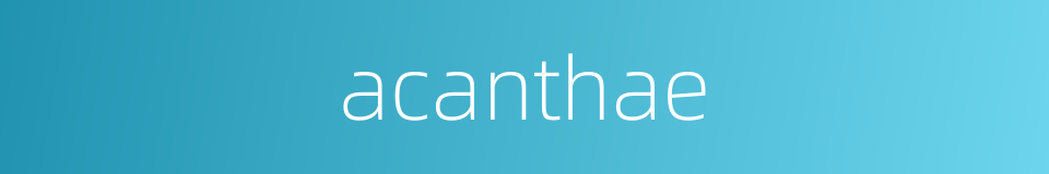 acanthae的同义词