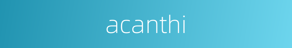 acanthi的同义词