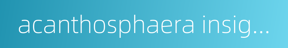 acanthosphaera insignis的同义词