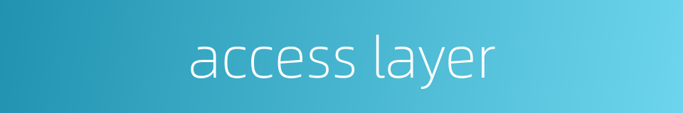 access layer的同义词
