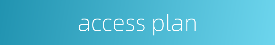 access plan的同义词