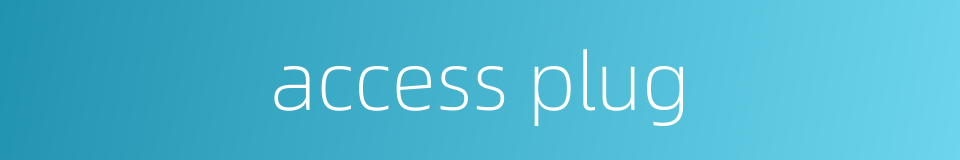 access plug的同义词