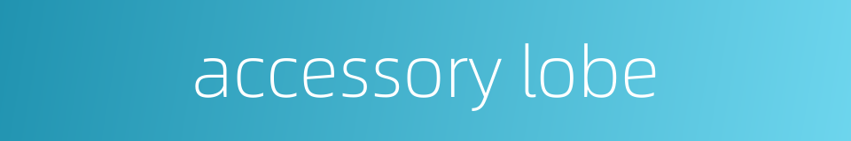 accessory lobe的同义词