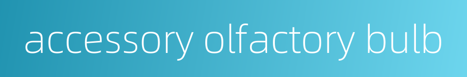 accessory olfactory bulb的同义词