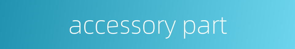 accessory part的同义词