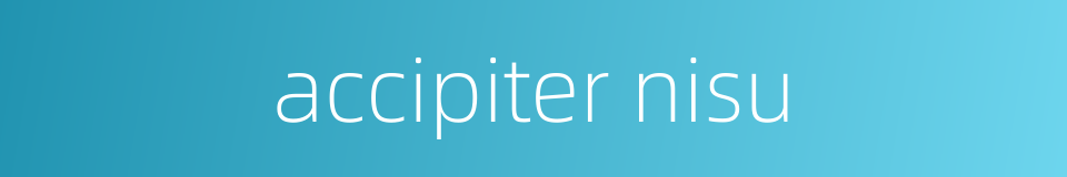 accipiter nisu的同义词