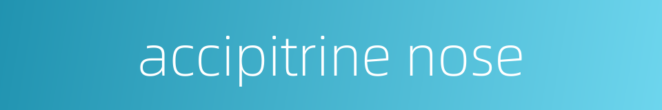 accipitrine nose的同义词