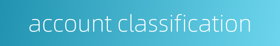 account classification的同义词