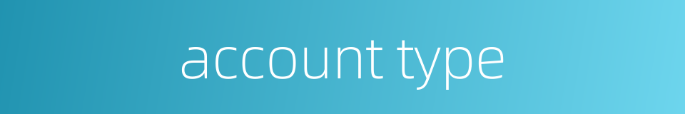account type的同义词