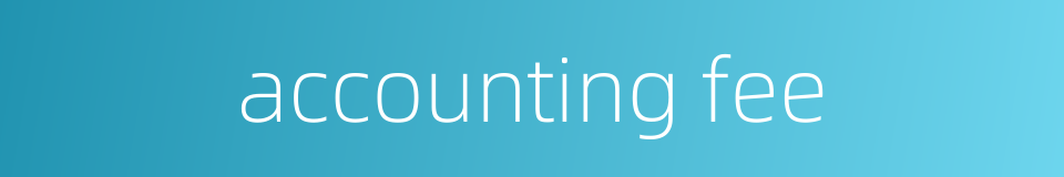 accounting fee的同义词