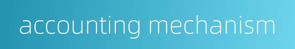 accounting mechanism的同义词