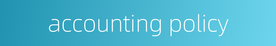 accounting policy的同义词