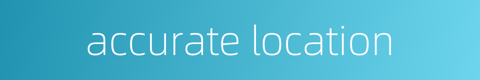 accurate location的同义词