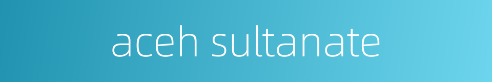 aceh sultanate的同义词