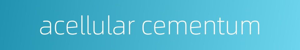 acellular cementum的同义词