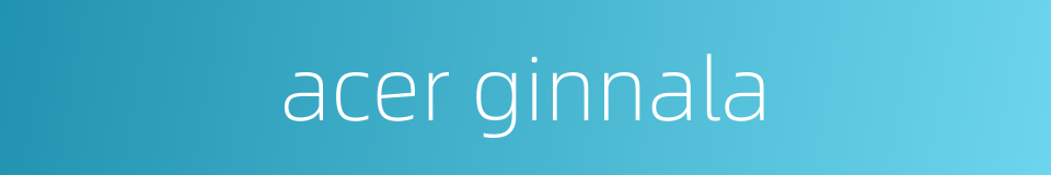 acer ginnala的同义词