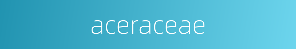 aceraceae的意思