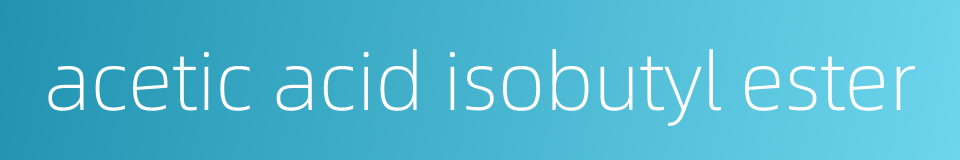 acetic acid isobutyl ester的同义词