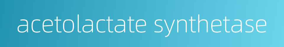 acetolactate synthetase的同义词