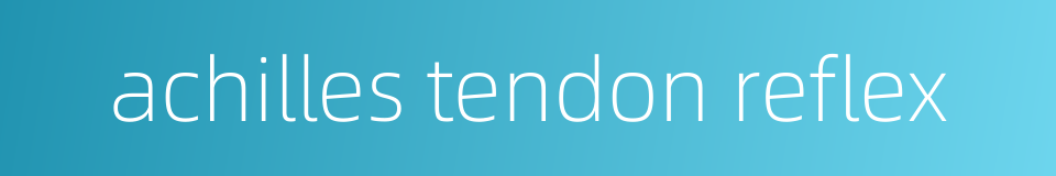achilles tendon reflex的同义词