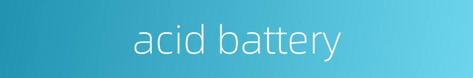 acid battery的同义词