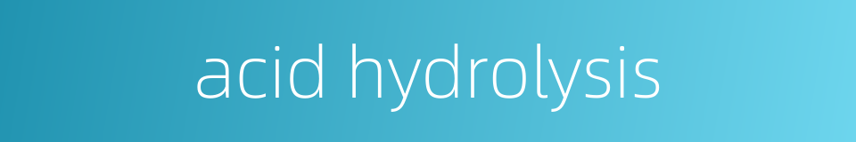 acid hydrolysis的同义词