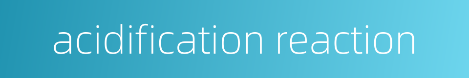 acidification reaction的同义词