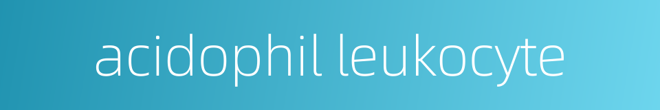 acidophil leukocyte的同义词
