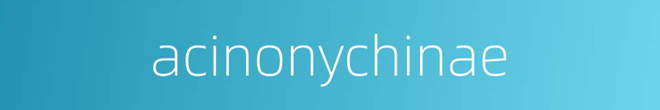 acinonychinae的同义词