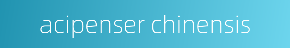 acipenser chinensis的同义词
