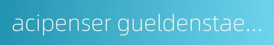 acipenser gueldenstaedtii的同义词