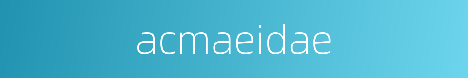 acmaeidae的同义词