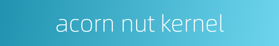 acorn nut kernel的同义词
