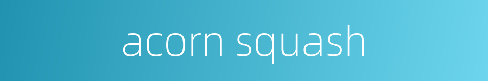 acorn squash的同义词