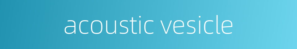 acoustic vesicle的同义词