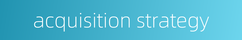 acquisition strategy的同义词