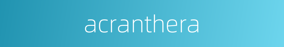 acranthera的同义词