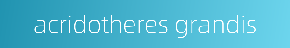 acridotheres grandis的同义词