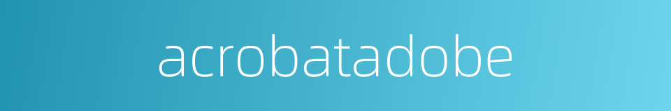 acrobatadobe的同义词