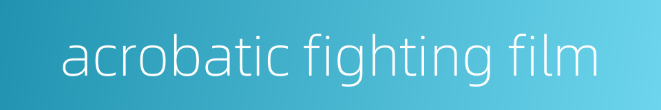 acrobatic fighting film的同义词