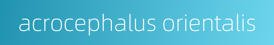 acrocephalus orientalis的同义词
