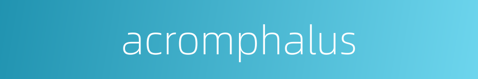 acromphalus的同义词