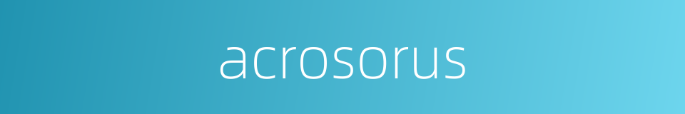 acrosorus的同义词