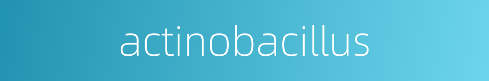 actinobacillus的同义词