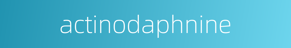 actinodaphnine的同义词