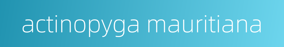 actinopyga mauritiana的同义词
